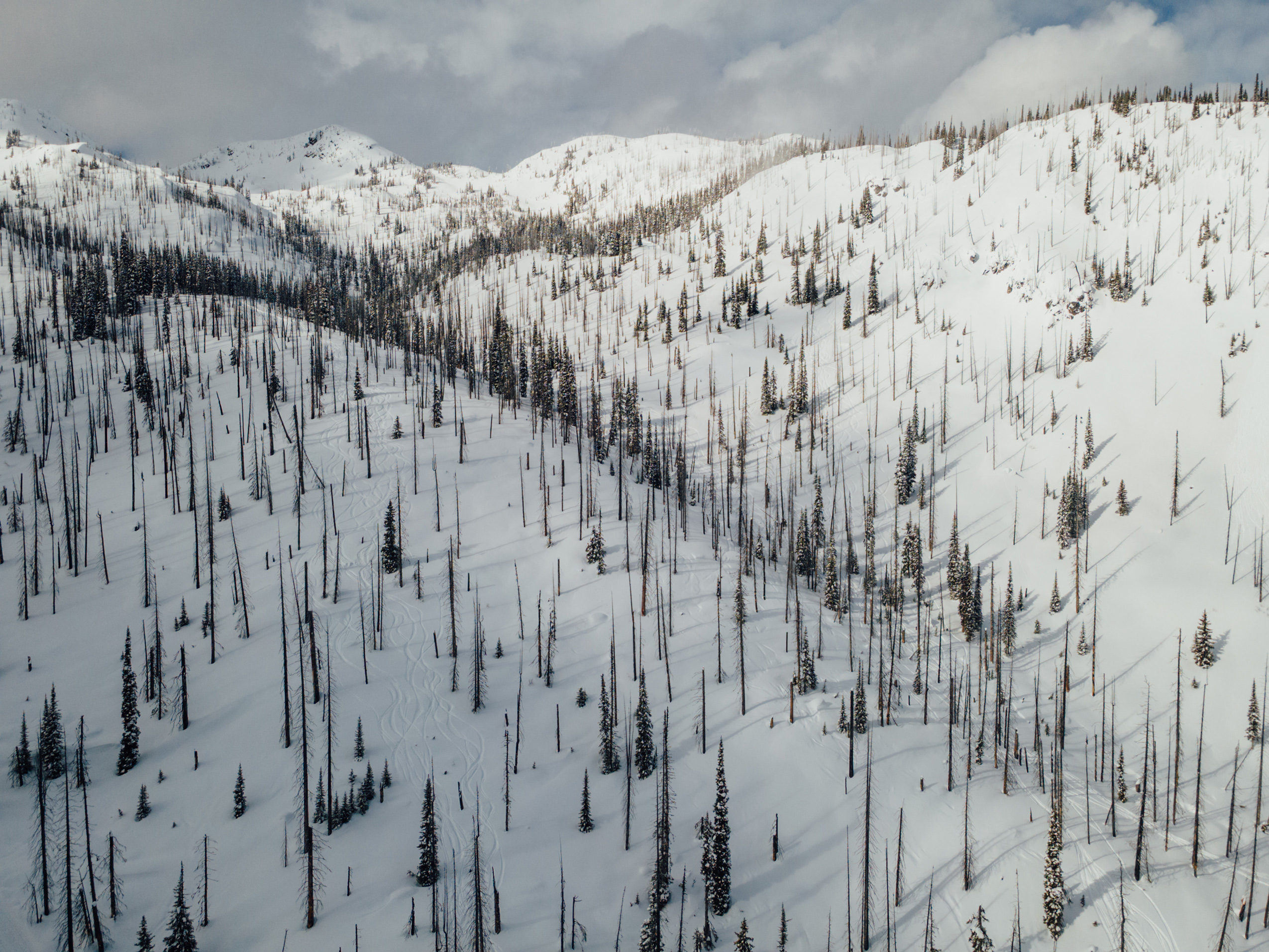 So many good turns at K3 Cat Ski. Photo: Colby Mesick